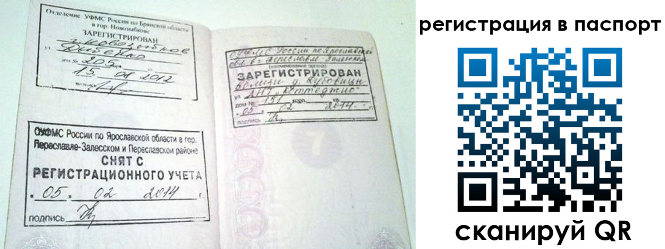 прописка в квартире в Балашихе